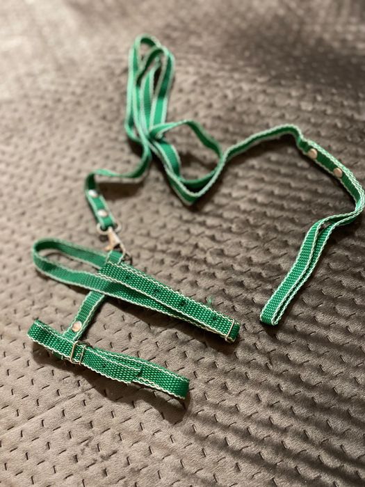 Шлейка з повідцем для котів нейлонова