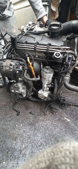 Мотор 1.9TDI BSW BLS BKC BXE BJB vw scoda seat audi