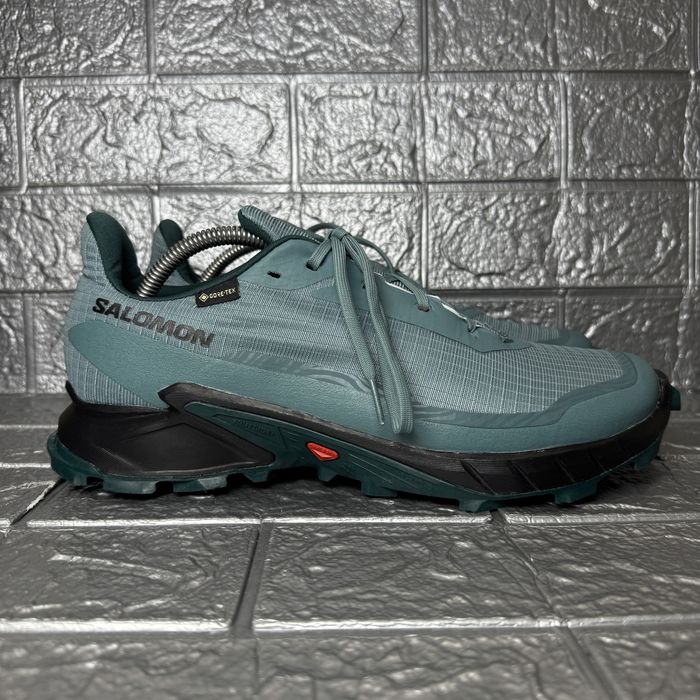 Чоловічі кросівки Salomon Alphacross 5 Gtx Blue L47595000