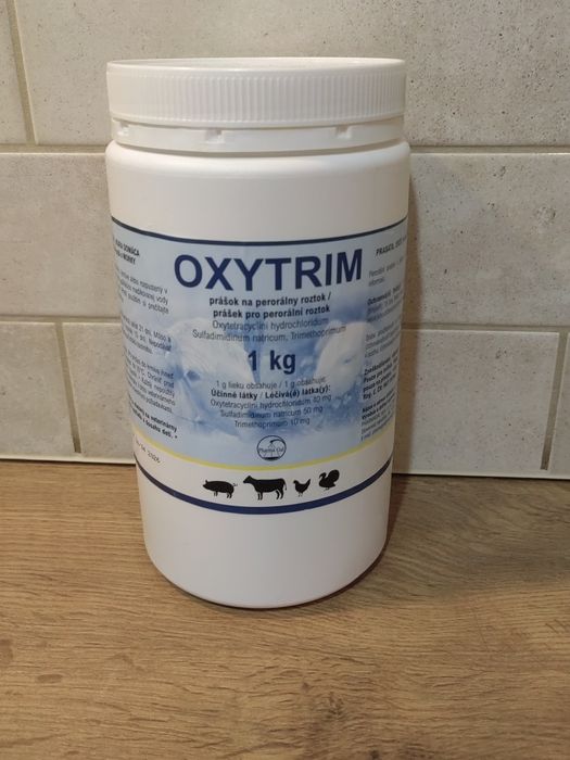 Olbrzym Belgijski