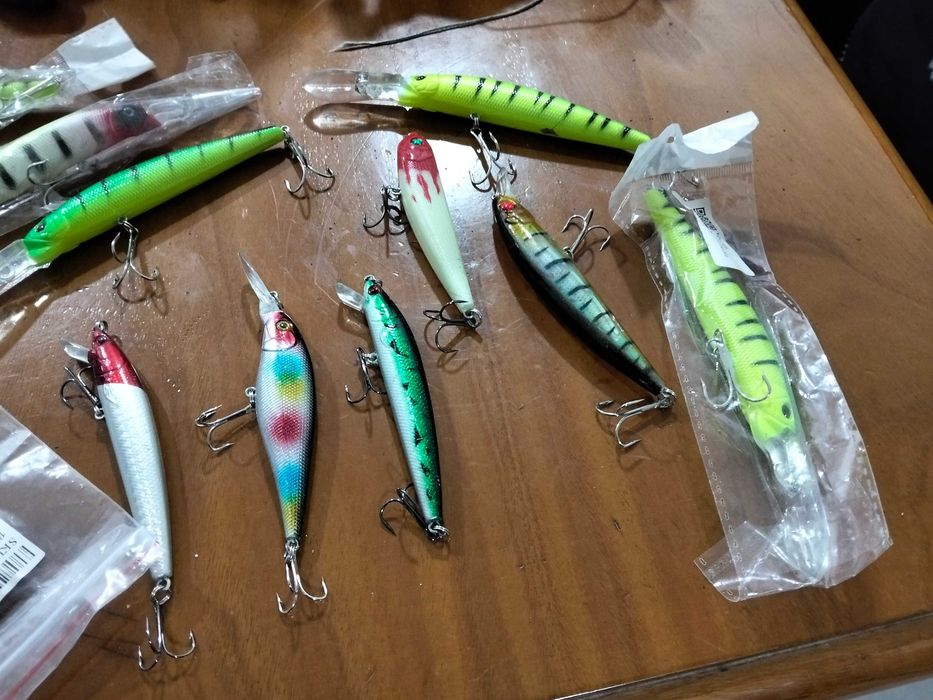 Amostras de pesca lote