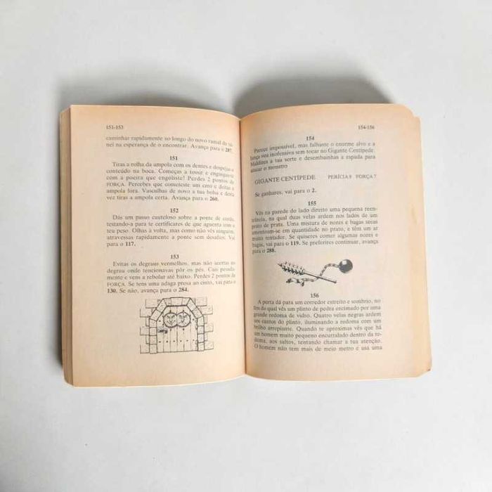 O Desafio dos Campeões (Livro)