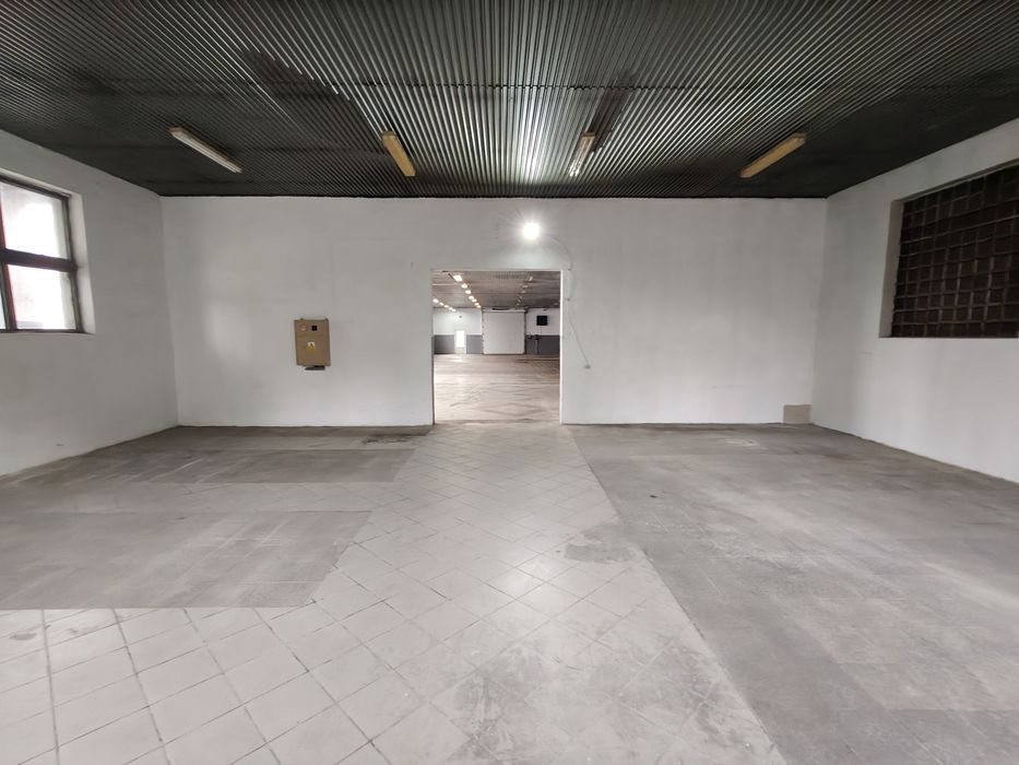 Na wynajem hala 500m2