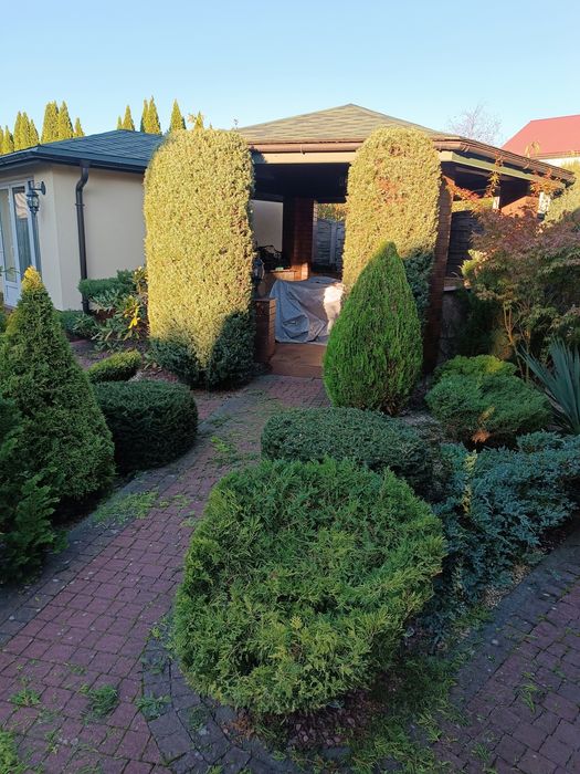 Газон, трава, штучна трава, стрижка, ландшафт, топіар, бонсай, нівакі,