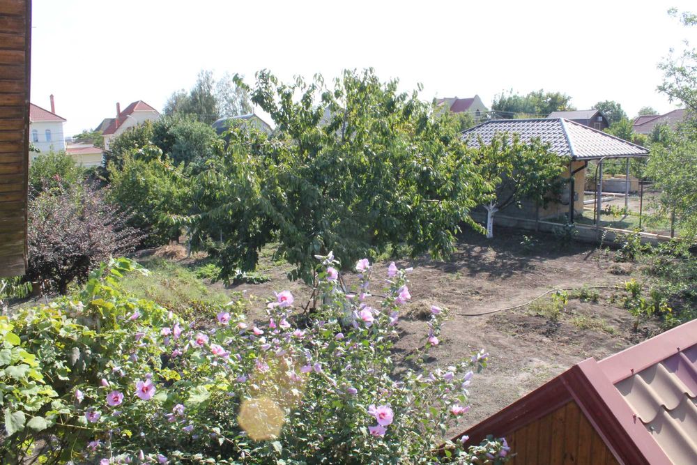 Сруб в Фонтанке 1, на 7 сотках.