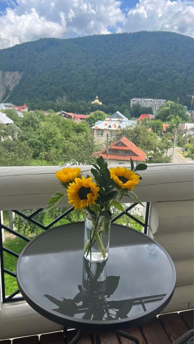 Відпочинок в Яремче, Карпати, номер. Вілла «Розмарія»