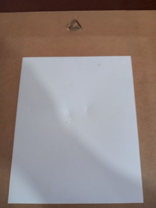 Quadro decoração com rosa saliente