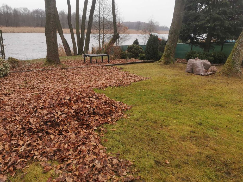 Usługi ogrodnicze, pielęgnacja ogrodów, grabienie liści, zakładanie trawników, zakładanie ogrodów, koszenie trawy, cięcie żywopłotów