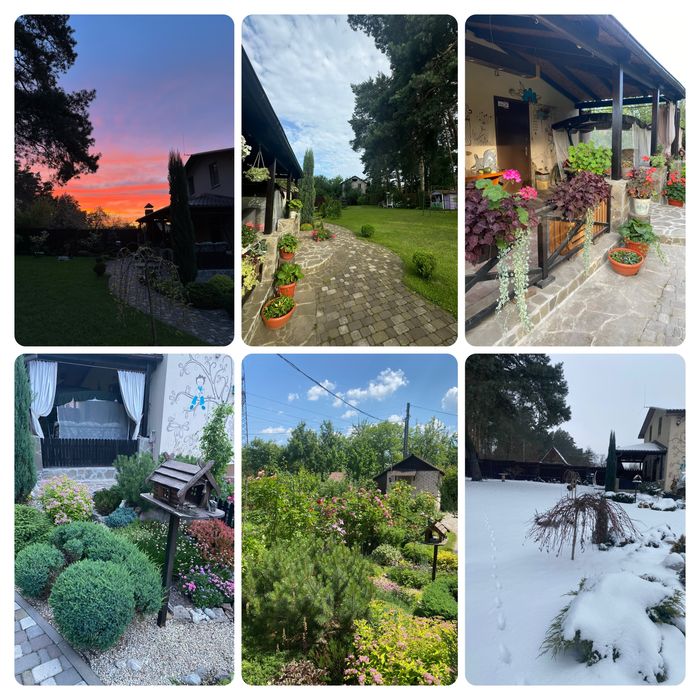 Затишний будинок з каміном в сосновому лісі, 10 соток.