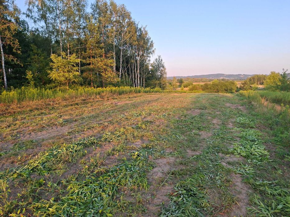 Na sprzedaż 3 (z 4) działki budowlane z WZ – Grabiny, gm. Czarna, pow. dębicki