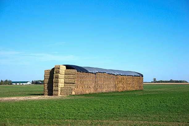 Тенти брезенти б/в в гарному стані
