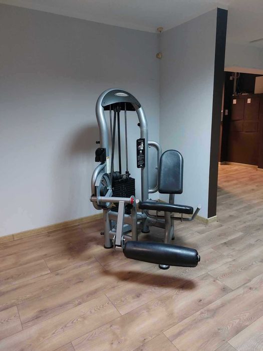 Maszyna matrix leg extension, maszyna na nogi