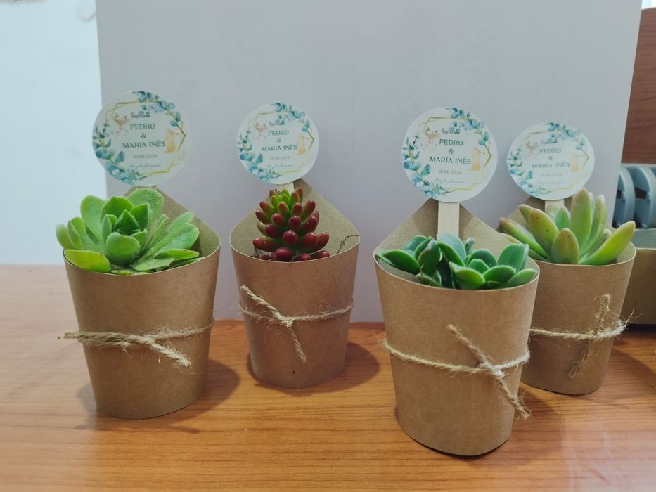 Suculentas personalizadas