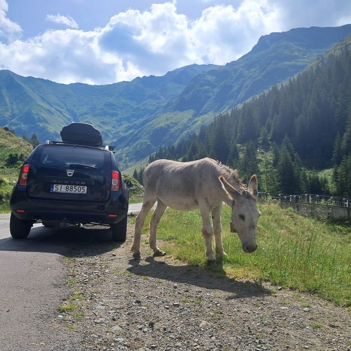 Dacia  Duster 4x4!