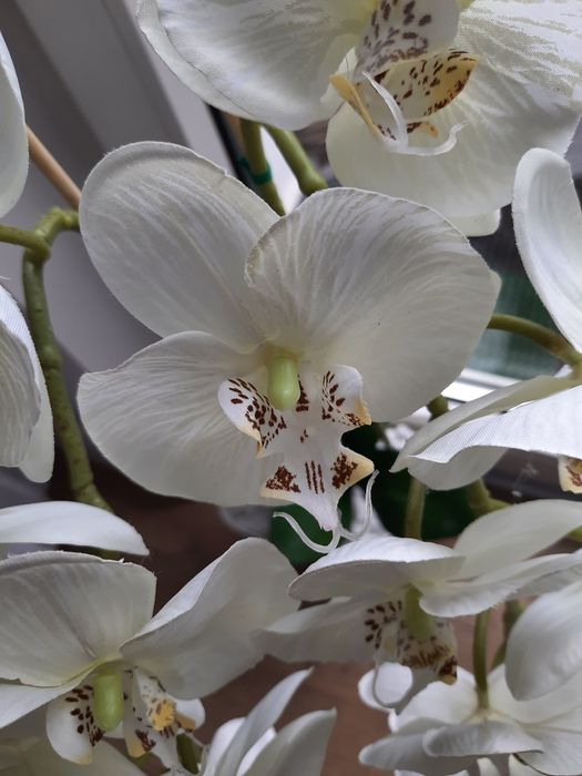 Storczyk sztuczny satynowy jak żywy