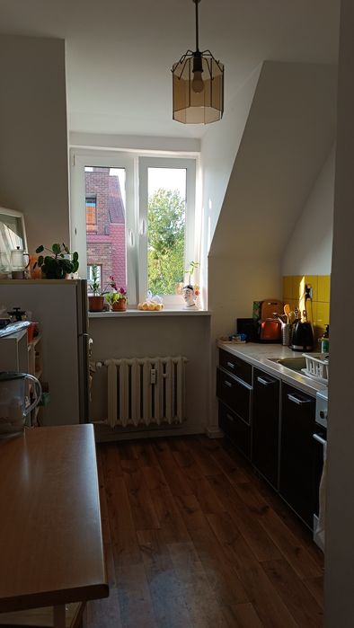 Zdjęcie 8