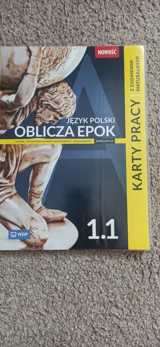 Ćwiczenia J. Polski  Liceum i Technikum