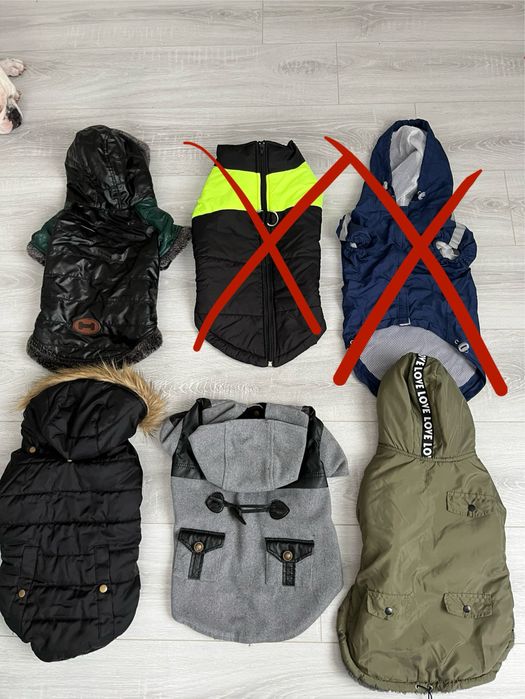 НОВИНКИ! поводки, шлейки Одяг для собак і котів