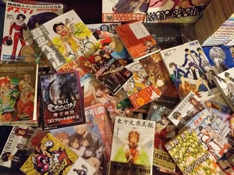 Wymiana lub sprzedaż manga po japońsku vol Art book doujin
