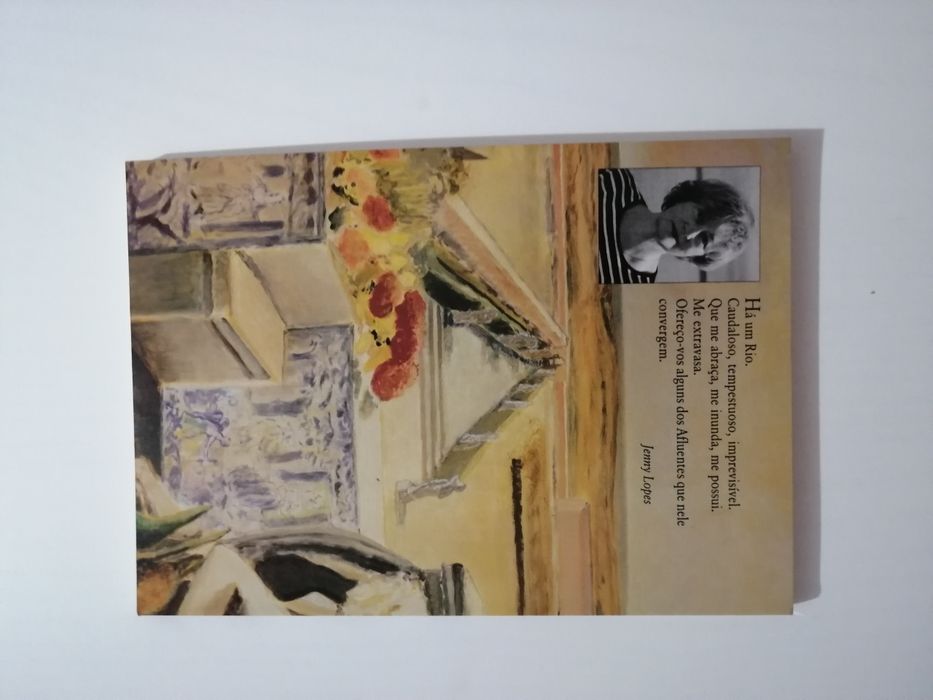 Livro: "Afluentes" de Jenny Lopes