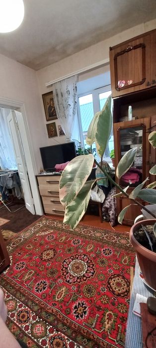 Продам приватний будинок