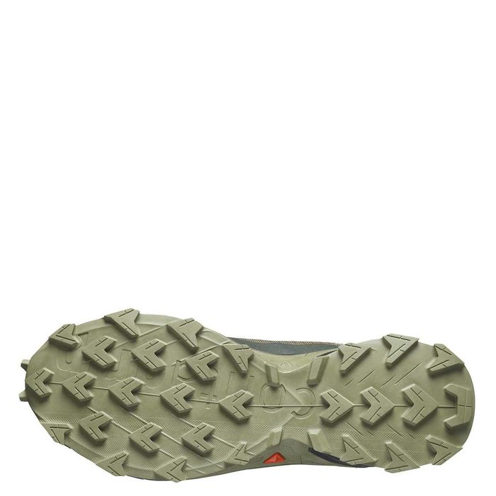 Чоловічі кросівки SALOMON  Alphacross 5 GTX (473103)