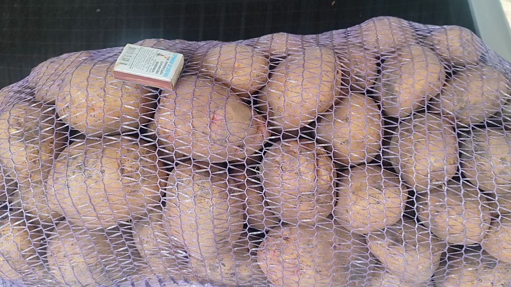 Продам картоплю!