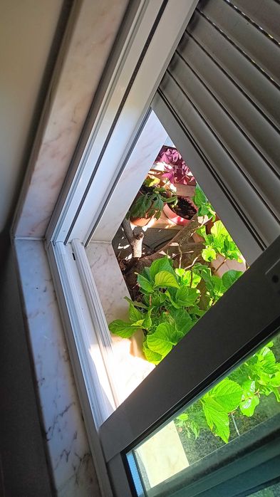 Janelas de várias dimensões com vidro duplo caixilaria em aluminio  lacado a branco em bom estado