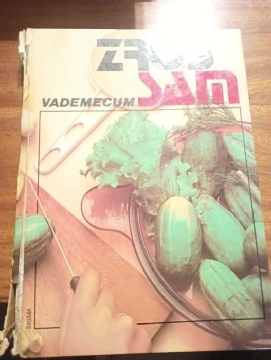 Zrób to sam Vademecum redakcja Tadeusz Rathman
