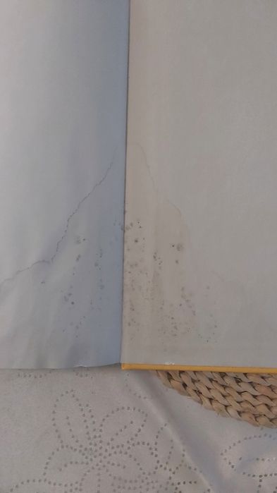 Wiary i wyznania. Religie, sekty, zjawiska paranormalne. John Allan