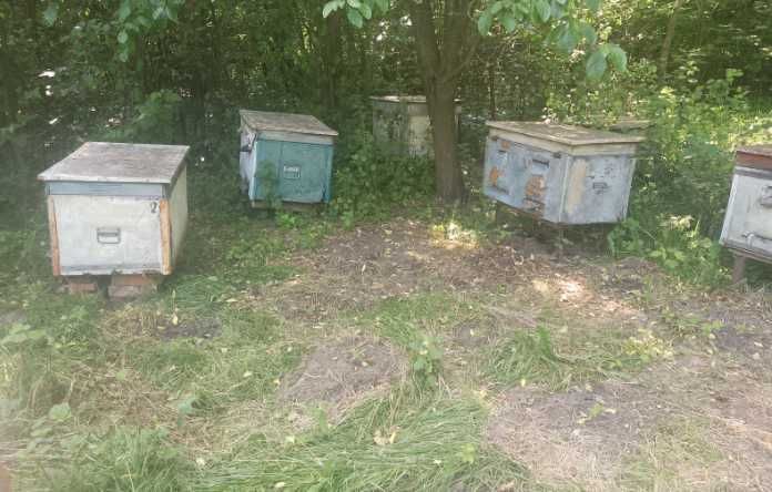 Улей для пчёл б/у 4шт, рамки для улья, маска пчеловода, обогрев