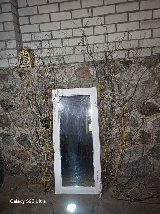 гілки верби  матсудана