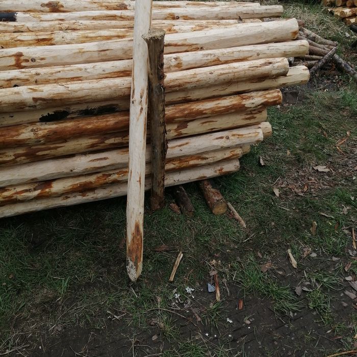 Pale kołki słupki  Okorowane!!!