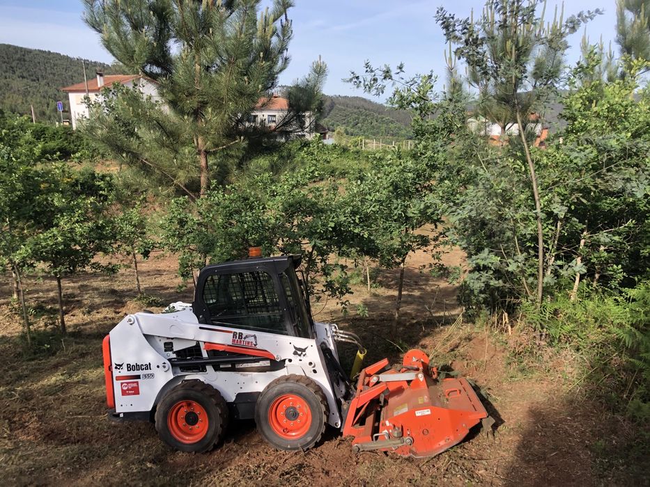 Serviço Mini Giratoria / Mini Carregadora