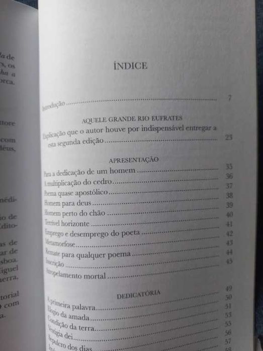 Aquele Grande Rio Eufrates - Ruy Belo