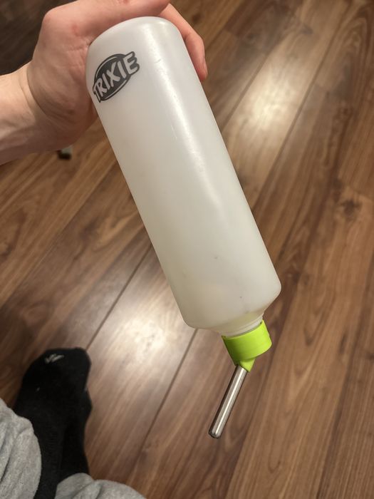 Poidełko dla królików