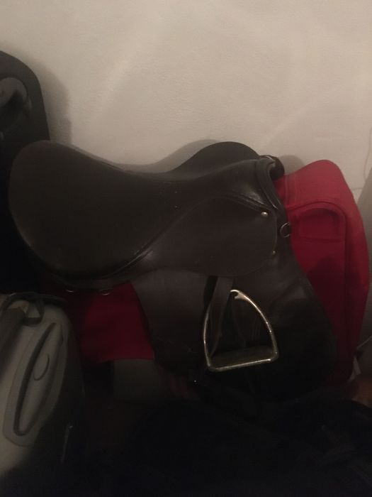 Sela/ arreio de equitação
