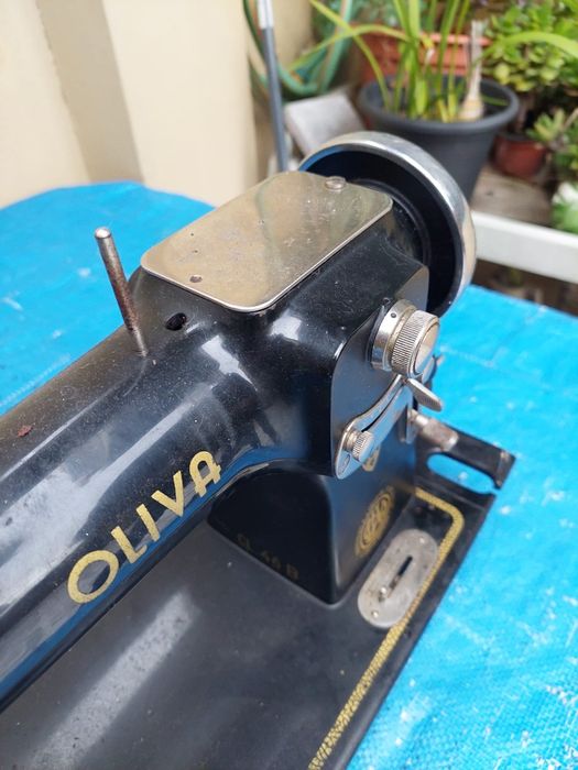 Oliva em ótimo estado
