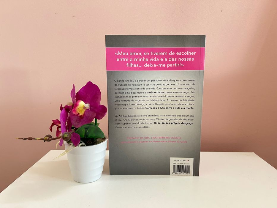 “As minhas gémeas” de Ana Marques