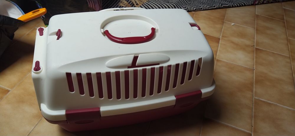 Transportadora animais