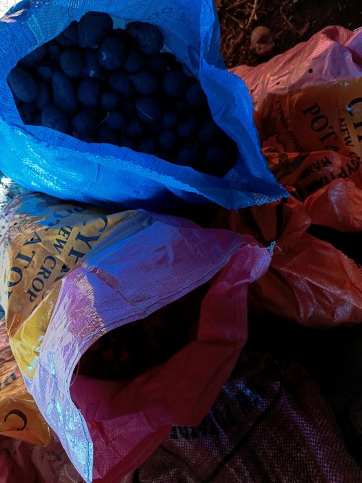 Віддам картоплю середня і дрібна