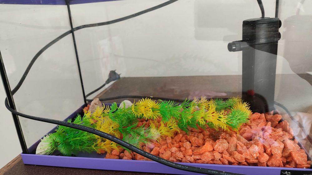 Aquário 15L 35cmx18cmx23cm