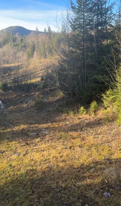 Приватна діоянка межує з лісом та струмком .