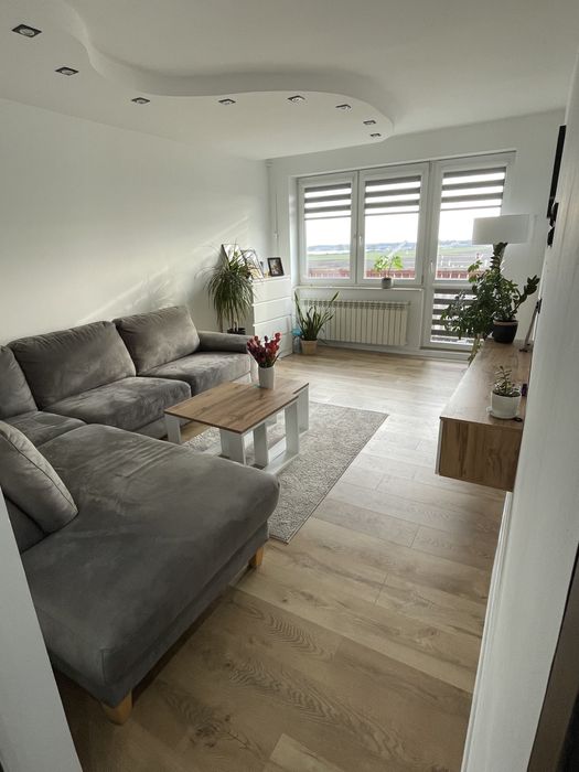 Mieszkanie na wynajem