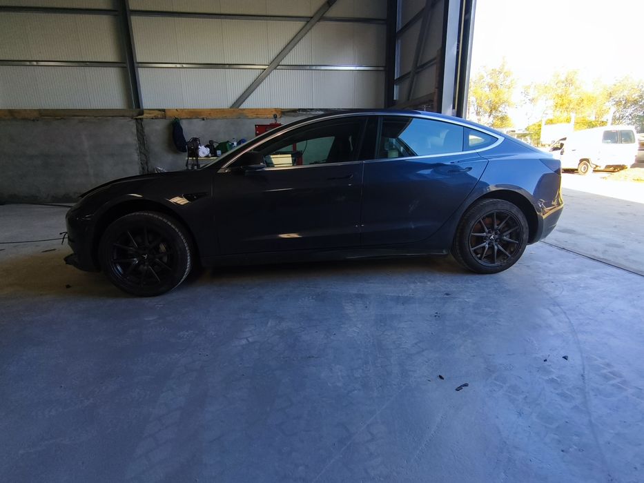 Tesla 3 Standart plus