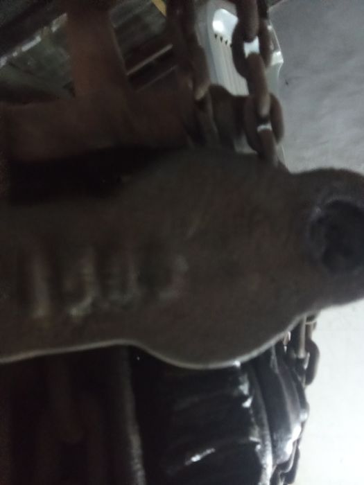 Cadernal guincho centenário.