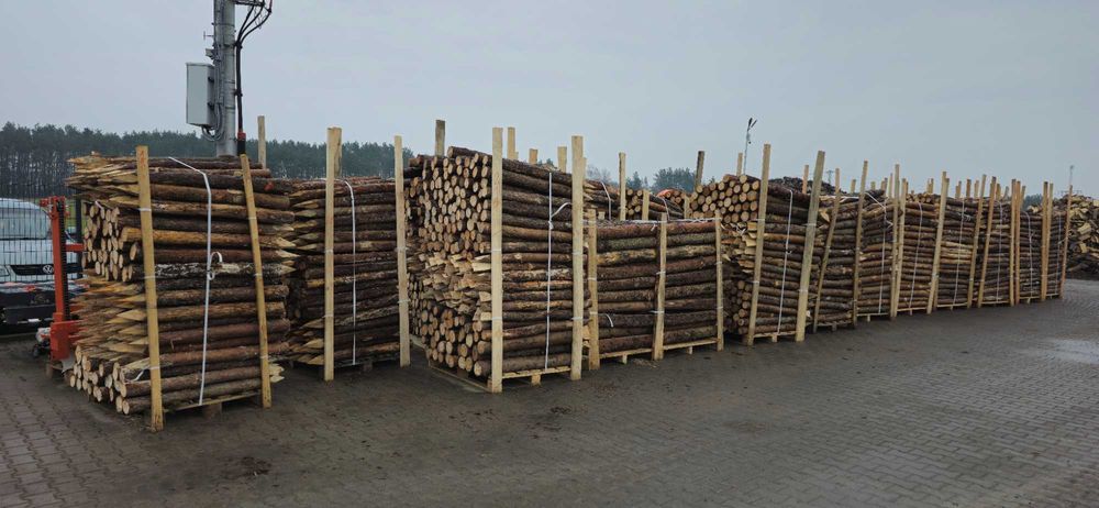 PALIKI - MELIORACJA faszyna i palisada, kołki, pale L=0,8 - 3,0m