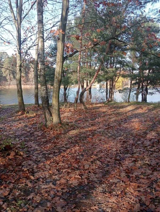 Продаж Дачної ділянки  Гараджа !!!