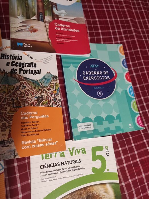 Vendo livros fichas 5 ano