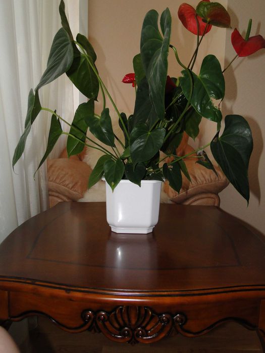 Продам Журнальний стіл